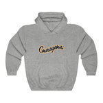 Load image into Gallery viewer, Courageous - Unisex Heavy Blend™ Hooded Sweatshirt
