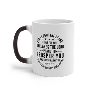 For I know the plans I have for you - Color Changing Mug